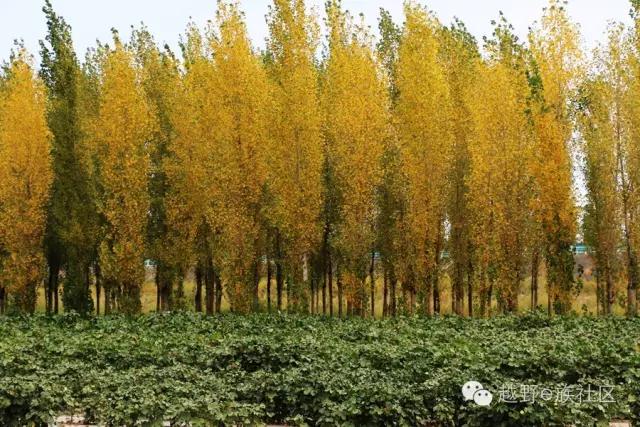 说走就走出去溜达,说走就走出去玩视频