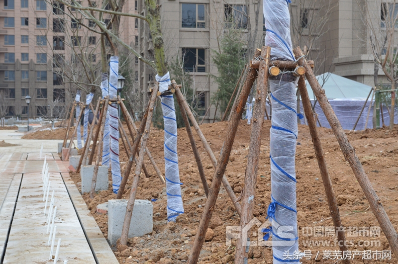 世纪城五期最新消息,百强世纪城最新工程进度