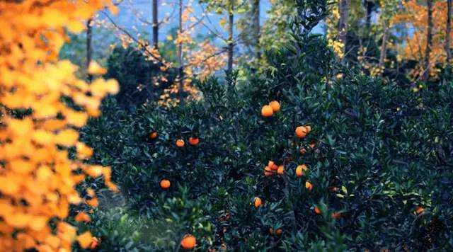 成都周边哪里好玩点的景点推荐下,成都附近免费旅游景区有哪些