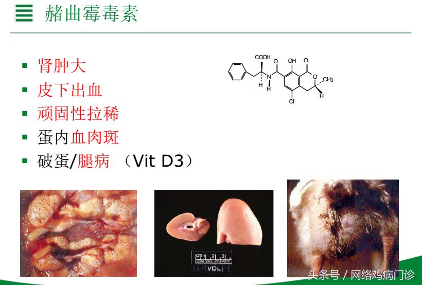 脱霉剂实测,脱霉剂真正脱霉吗