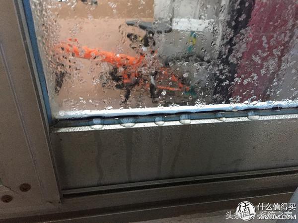 B+WUV-PRO镜头防霉器:究竟有没有用