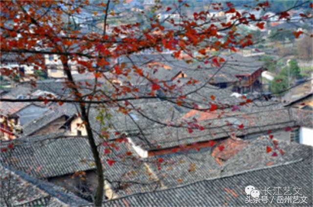 张谷英个人资料,张谷英村的未解之谜