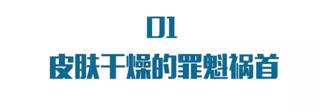 皮肤干燥贴补水面膜,冬天皮肤干燥起皮好物推荐