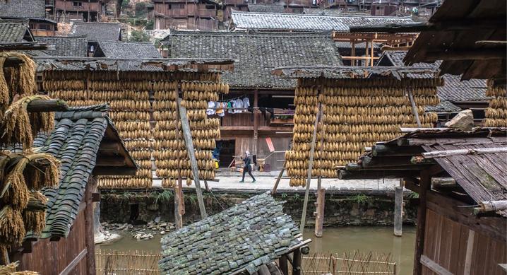 拥抱纯净世界，梦回黔东南