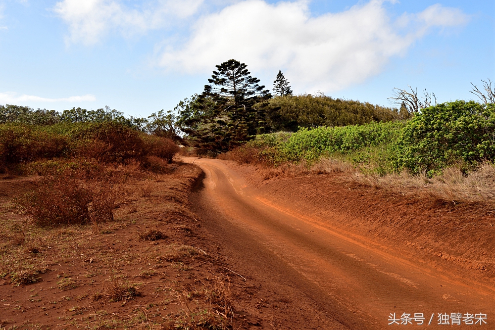 夏威夷｜风之魔力，火山星球