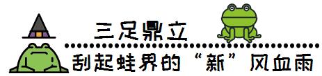 年度大事件，那家魔都超人气牛蛙店，失踪了？