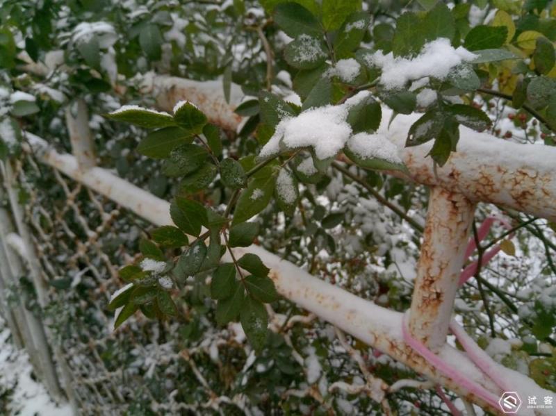 超长续航千元机魅蓝5,够用的安卓手机