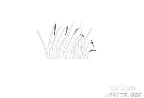 小草怎么画1000种画法,怎么样画小草又简单又好看