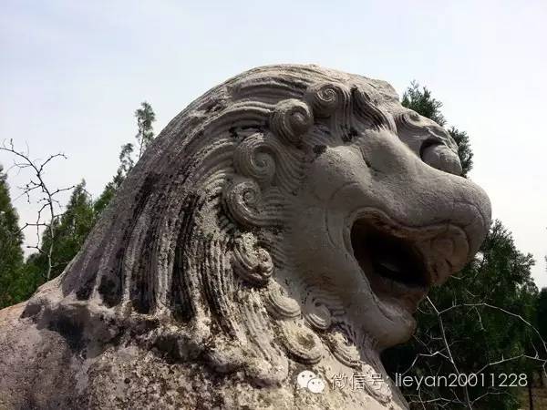 跨越千年时光看兵马俑,跨越千年唐十八陵