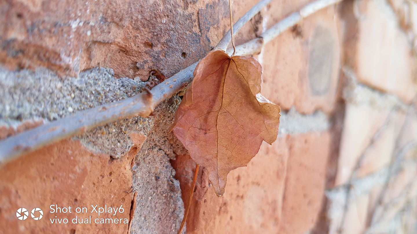 vivoxplay6测评还值得购买吗,vivoxplay6刚发售价格