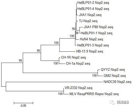 一个持续免疫“瑞兰安”生长猪临床效果追踪的意外发现