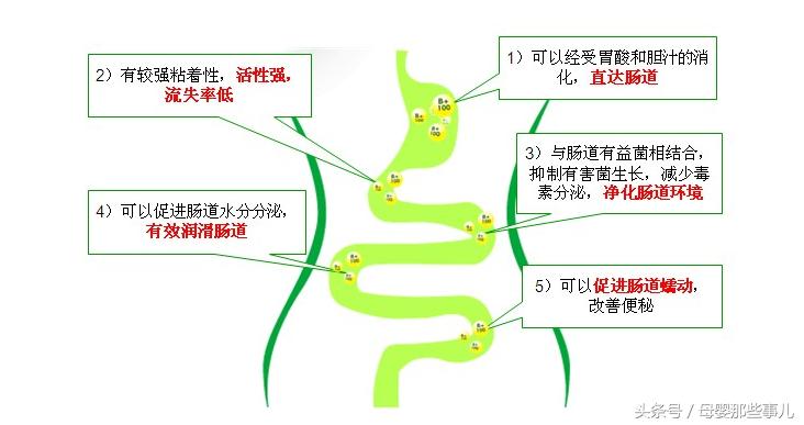 宝宝便秘吃哪种益生菌,宝宝为什么要吃益生菌
