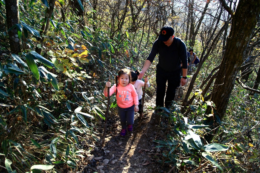 斯巴鲁车主探险,斯巴鲁适合自驾游
