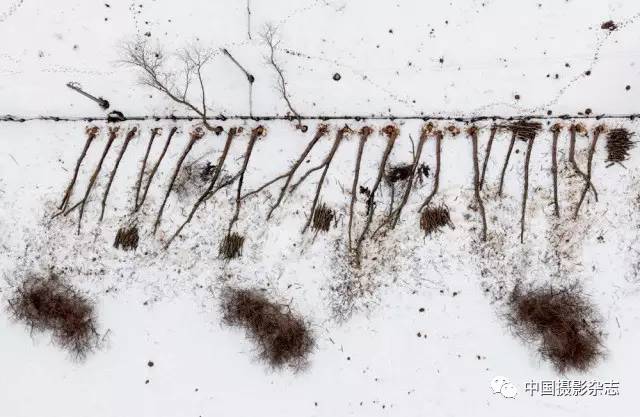 这就是当下欧洲摄影状况?