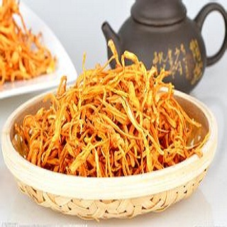 治疗肾阳不足哪些药起效最快,治疗肾阳不足的药都有哪些