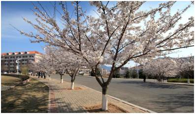 中国海洋大学真的没有海吗？