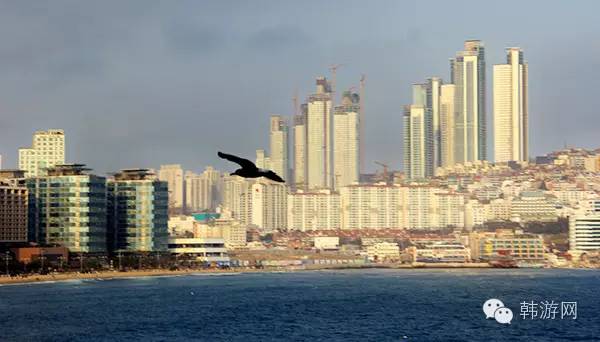 韩国济州岛怎样过关,韩国济州岛交通