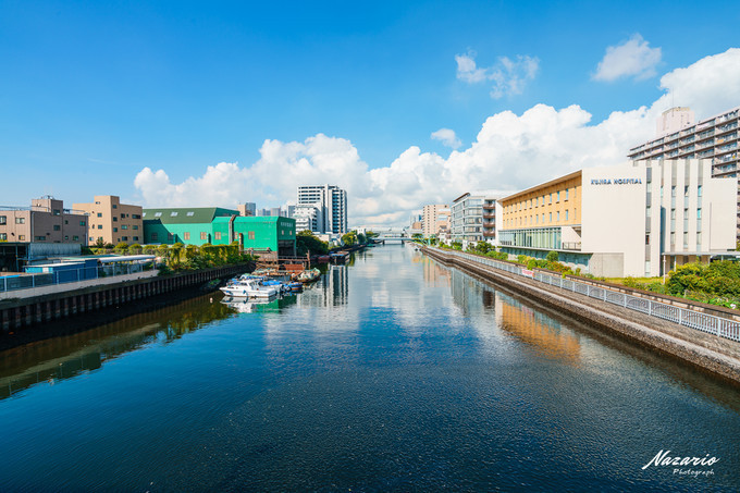 粉红猪小妹与小猪佩奇,粉红猪小妹的快乐生活