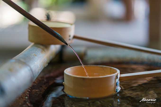 粉红猪小妹与小猪佩奇,粉红猪小妹的快乐生活