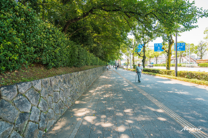 粉红猪小妹与小猪佩奇,粉红猪小妹的快乐生活