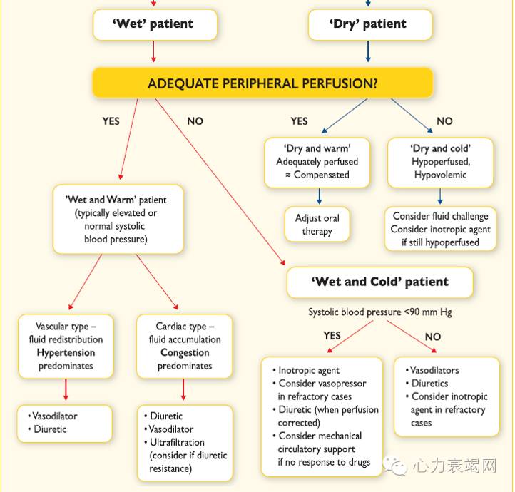 阜外张健心衰,心衰专家张健
