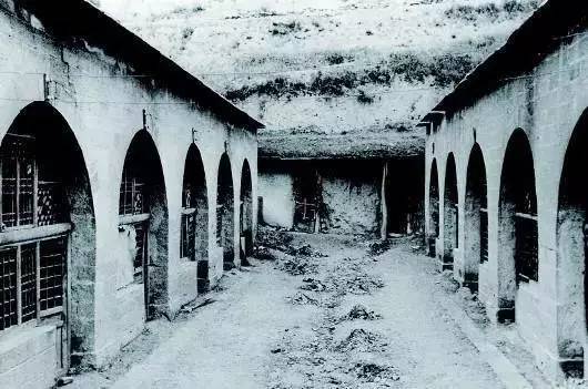 革命烈士林迈可,林迈可民国