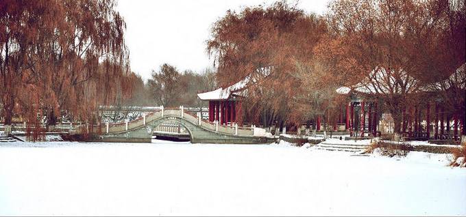 震撼了！看到3年后的石河子，你会庆幸自己没离开……