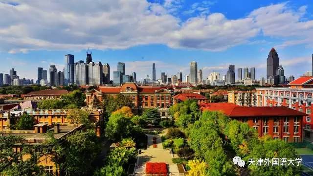 天津外国人印象,外国人眼中的天津视频