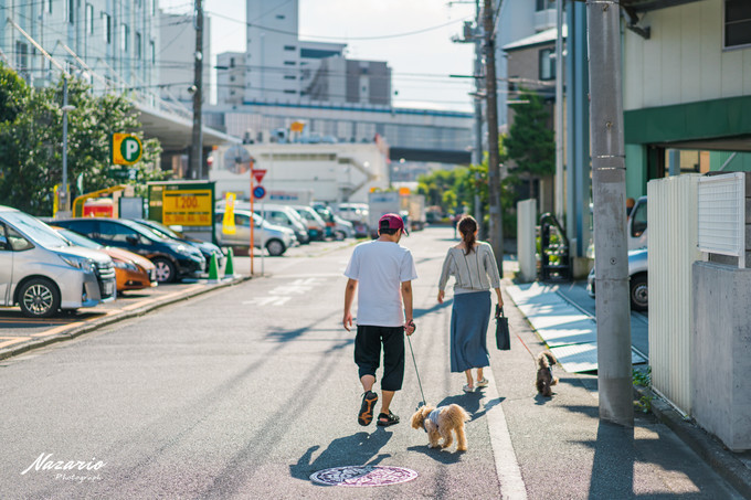 粉红猪小妹与小猪佩奇,粉红猪小妹的快乐生活