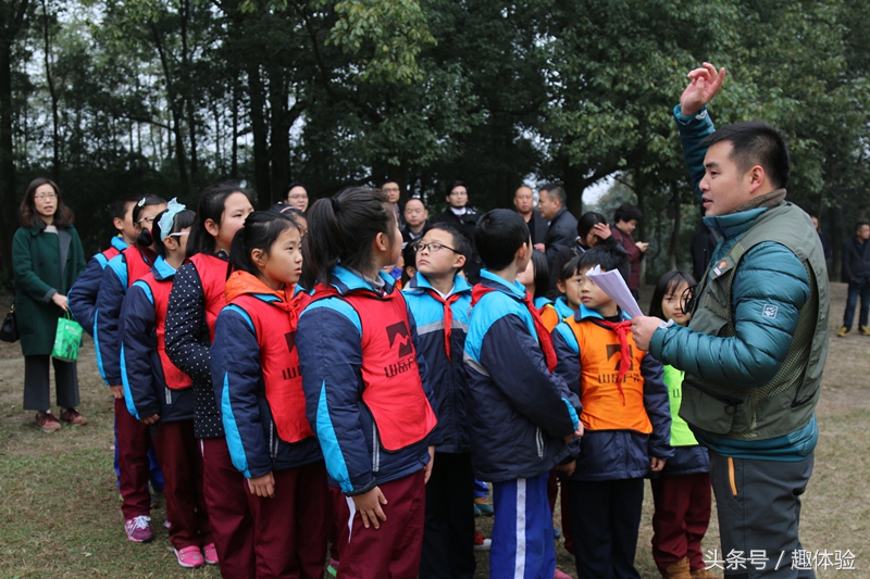 把课堂搬到森林里！去森林趣体验！
