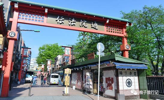 樱花旅行记全集视频,樱花季日本14天旅游攻略