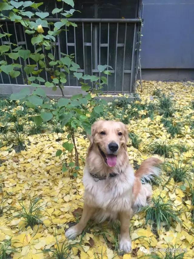 致爱我的人2020年,致爱我的人