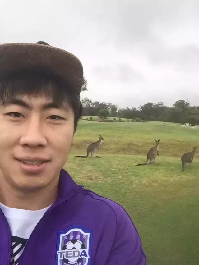 袋鼠过生日,赶路过生日