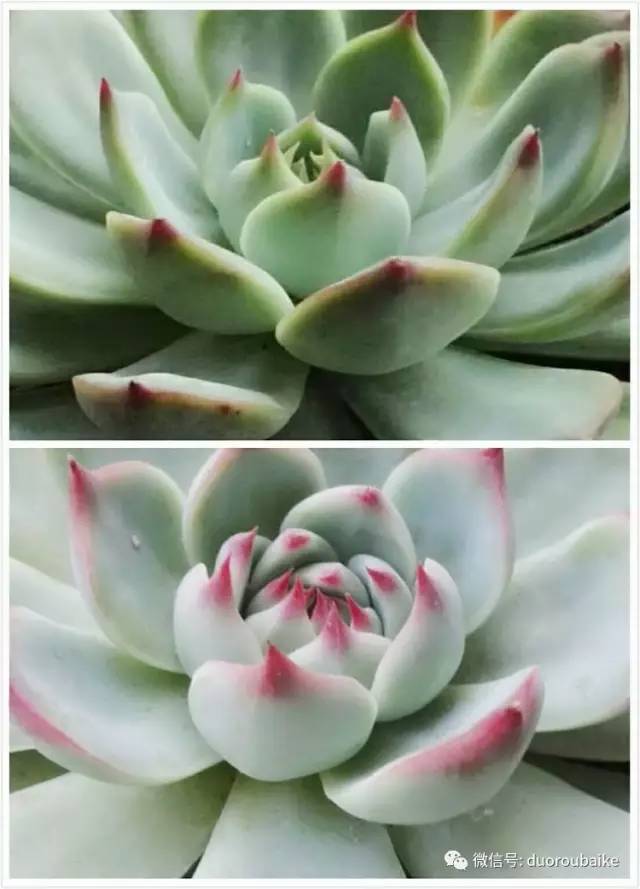 美好的时光带来快乐,美好的时光伴随着我