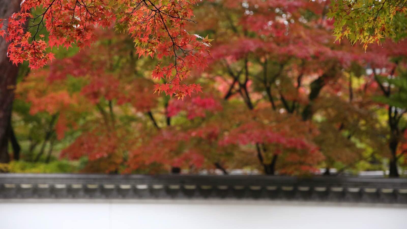 关西温泉六日游,大阪关西机场温泉