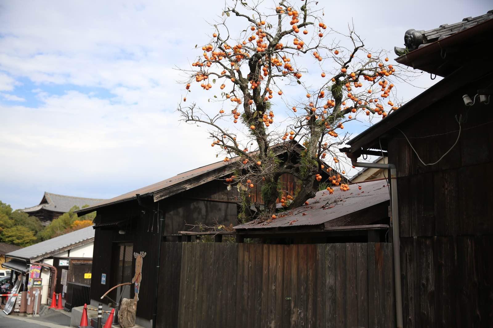 日本关西温泉圣地,日本关西房间内温泉