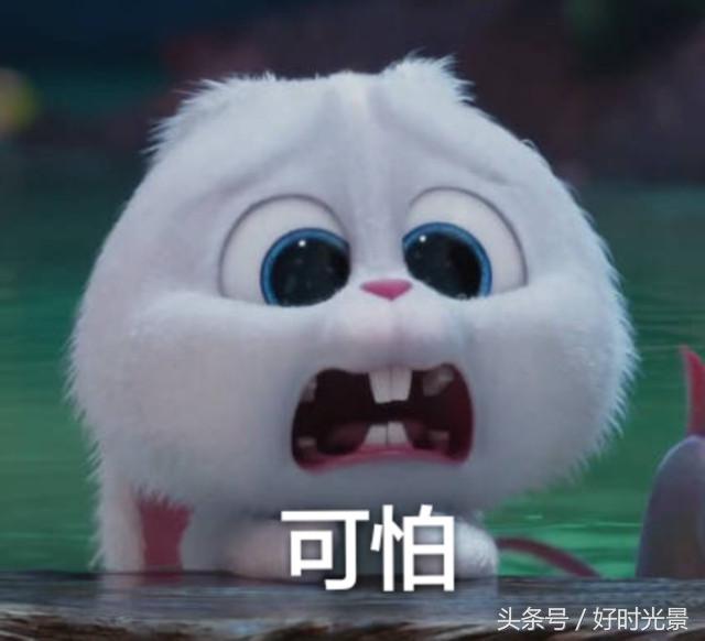 日本颠覆三观的电影,日本经典十部动漫