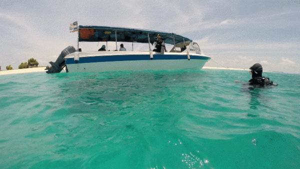 仙本那考潜水证日程,去仙本那潜水要考什么证