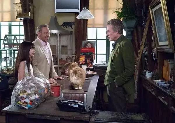 最值得一看的40部佳片,2020年十大佳片盘点