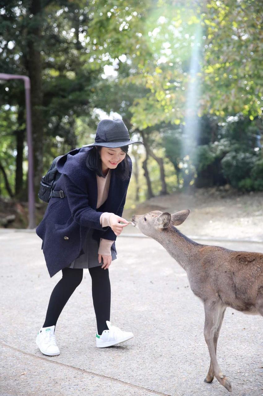 关西温泉六日游,大阪关西机场温泉