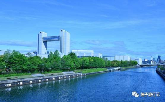 樱花旅行记全集视频,日本樱花7日游攻略大全