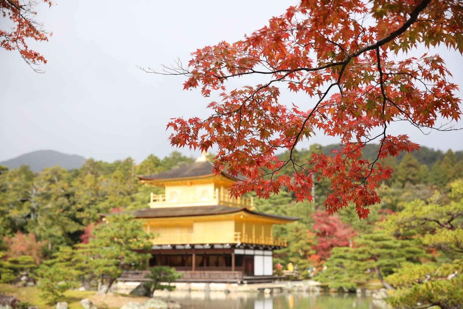 日本关西温泉圣地,日本关西房间内温泉