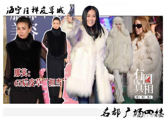 北方姑娘对貂的痴迷你不懂