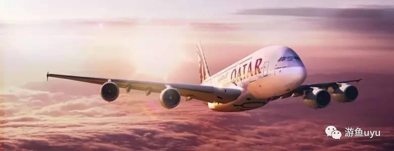 萨利机长细节解析,萨利机长迫降失败集锦