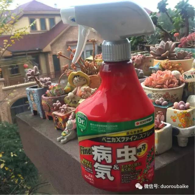 太实用了!图解多肉的配土及用药!