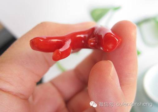 红珊瑚作假的手段,红珊瑚怎么知道是假的