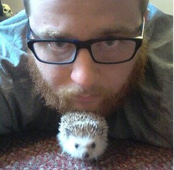 刚出生的小刺猬太可爱了,小刺猬没有牙齿