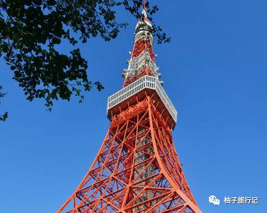 樱花旅行记全集视频,日本樱花7日游攻略大全