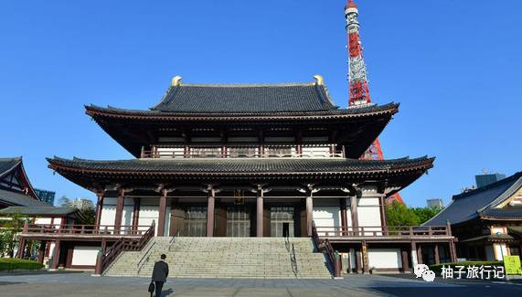 樱花旅行记全集视频,樱花季日本14天旅游攻略