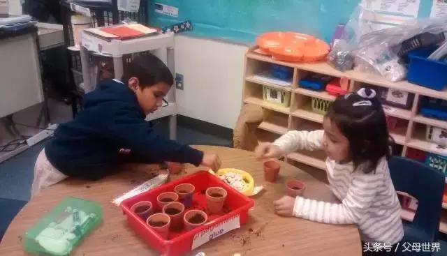 美国幼儿园到底有多坑,美国幼儿园真的一点都不教吗